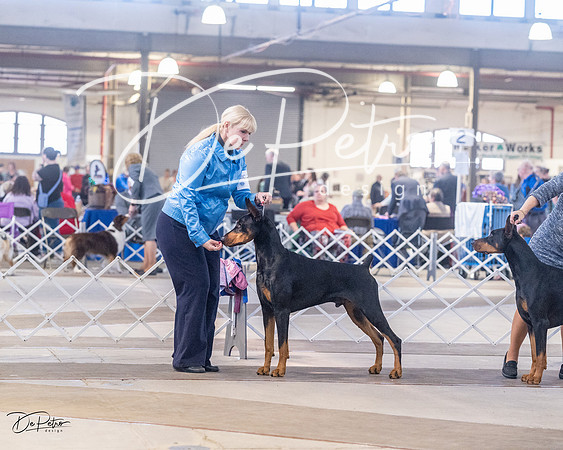 20230401-DSC06752
