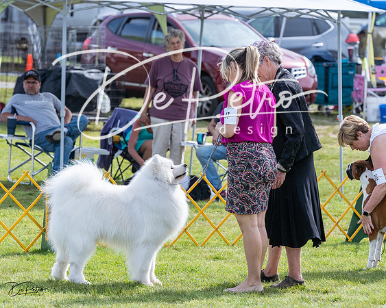 20230513-DSC00846