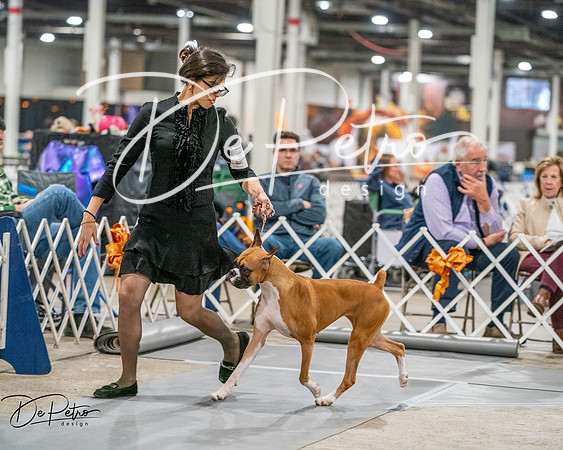 20261022-DSC01771