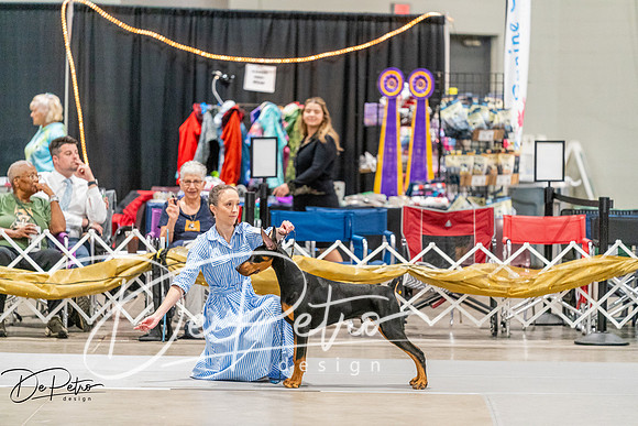 20260930-DSC06754