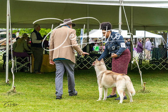 20230427-DSC03001
