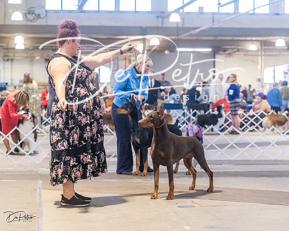 20230401-DSC06486