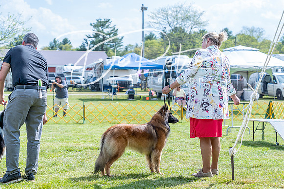 20230512-DSC05570