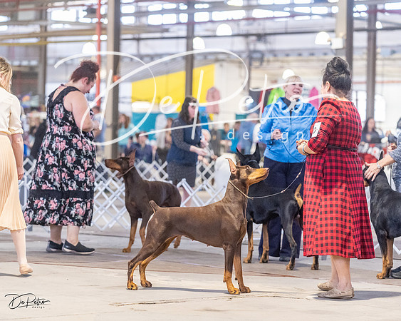 20230401-DSC06688