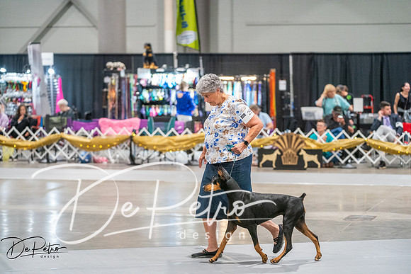20260926-DSC04597