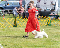 20230513-DSC00059