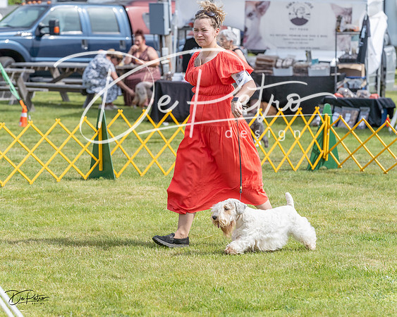 20230513-DSC00059