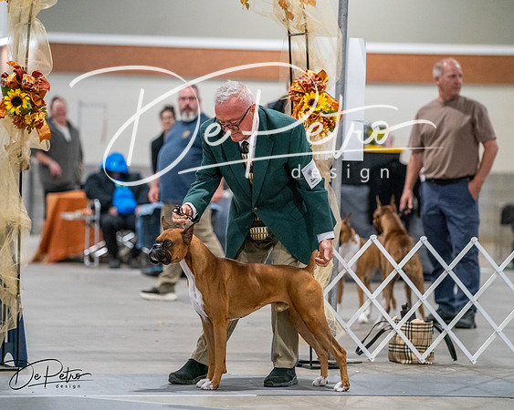 20261022-DSC02835