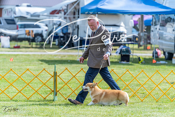 20230512-DSC05531