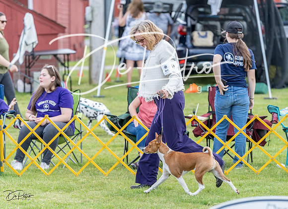 20230512-DSC03732