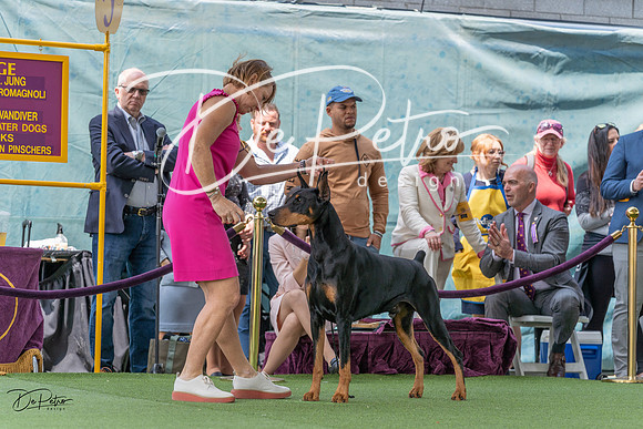 20230509-DSC01279