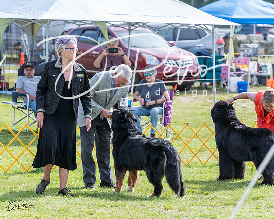 20230513-DSC00930