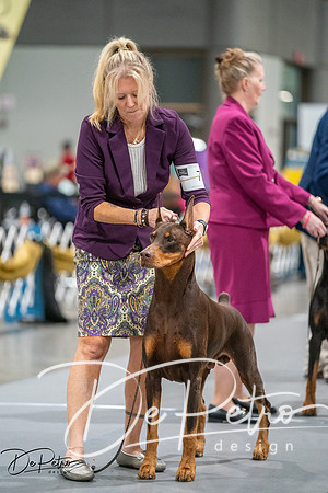 20260926-DSC04495