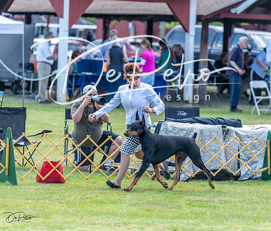 20230513-DSC09036