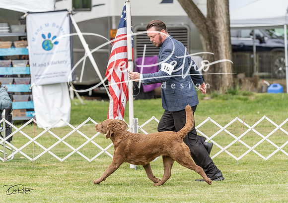 20230427-DSC05813