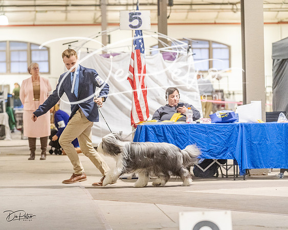 20230401-DSC07881