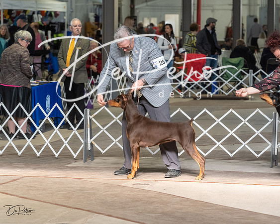 20230402-DSC08859