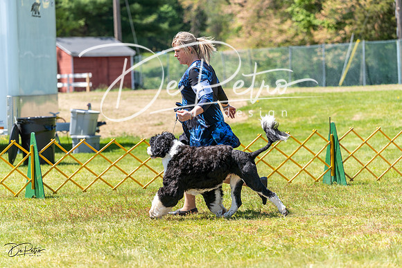 20230514-DSC08545