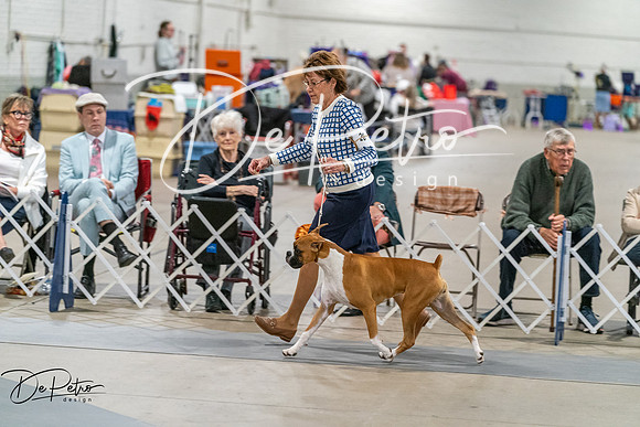 20261023-DSC05103