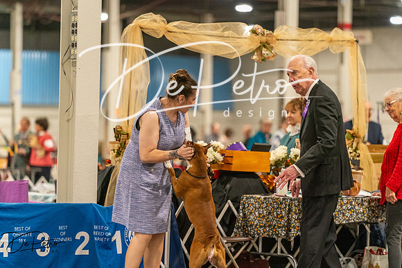 20261023-DSC05312