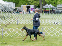 20230428-DSC07704
