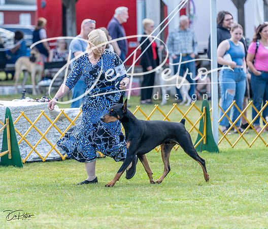 20230513-DSC08968