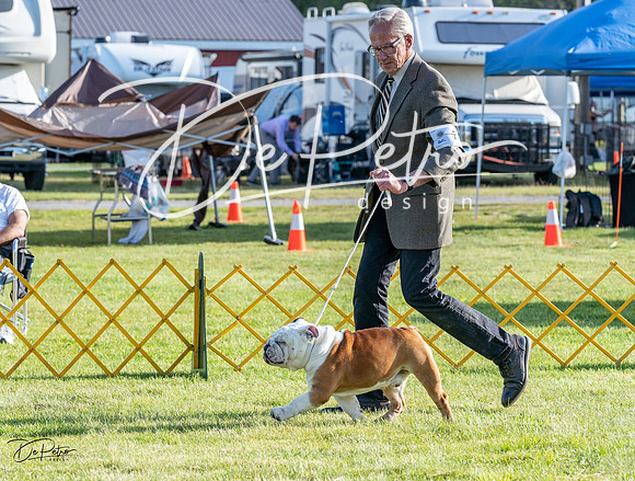 20230513-DSC02511