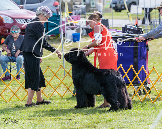 20230513-DSC00947
