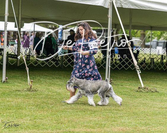 20230427-DSC03040