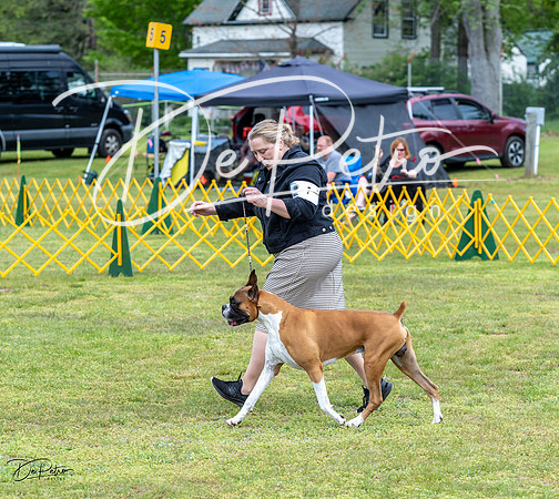 20230513-DSC07575