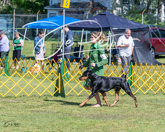 20230514-DSC03315