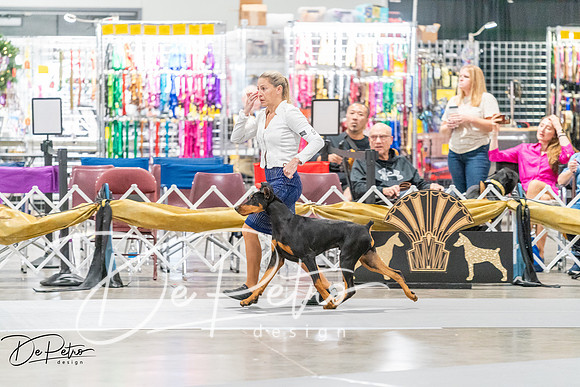 20260930-DSC06868