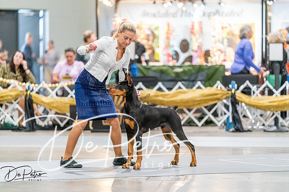 20260930-DSC07013