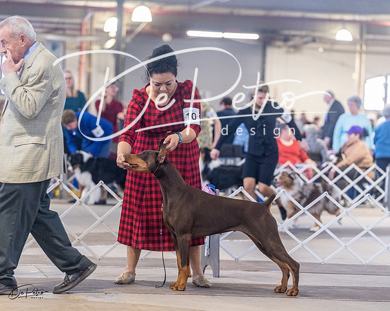 20230401-DSC06607