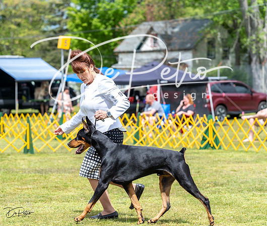 20230513-DSC08234