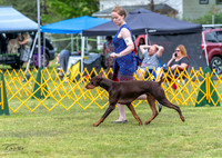 20230513-DSC08094