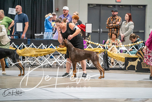 20260926-DSC04725