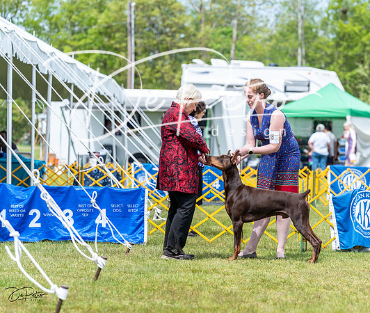 20230513-DSC08163