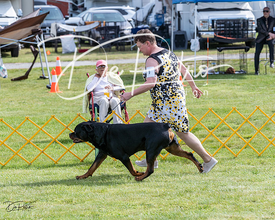 20230513-DSC00679