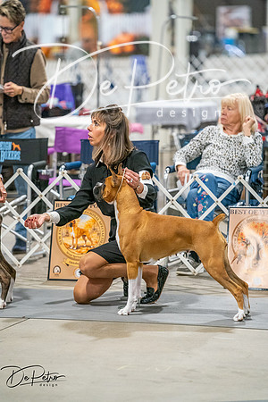 20261022-DSC02084