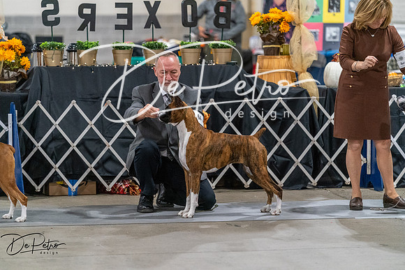 20261023-DSC05516