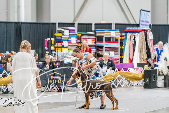 20261001-DSC07405