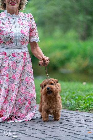 20260912-DSC03211