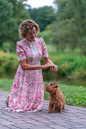 20260912-DSC03308