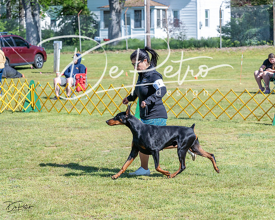 20230514-DSC03100
