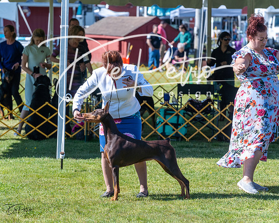 20230514-DSC02786