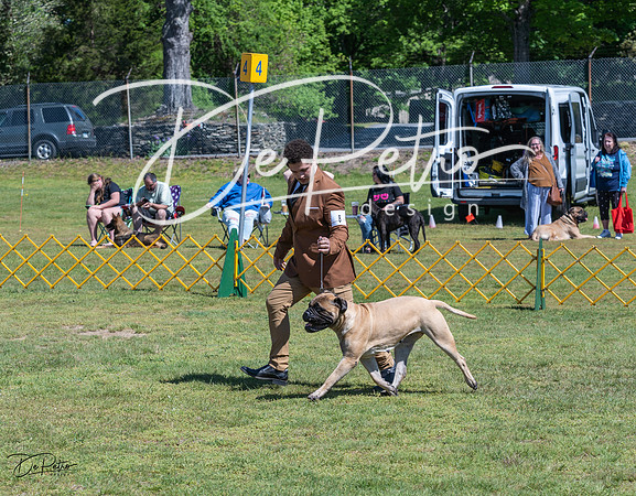 20230514-DSC03704
