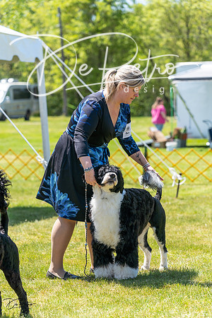 20230514-DSC08558