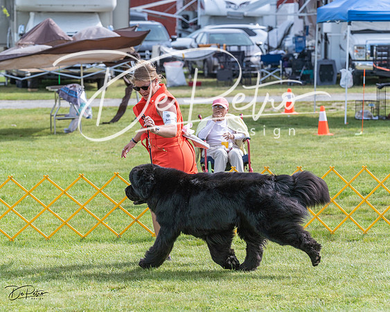 20230513-DSC00598