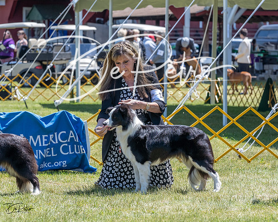 20230514-DSC04779